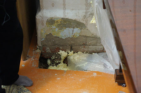 Пущу только Грищенко Пущу только Грищенко