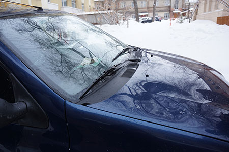 Пущу только Грищенко Пущу только Грищенко