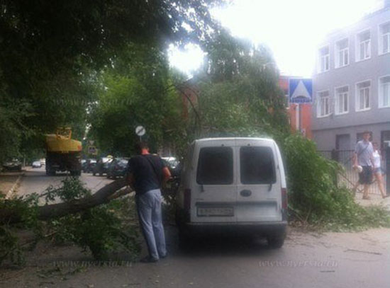 Картина недели с 15 по 21 июля Картина недели с 15 по 21 июля