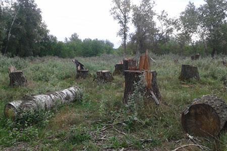 Пни кого надо Пни кого надо