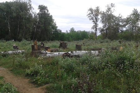 Пни кого надо Пни кого надо