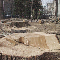 без названия без названия