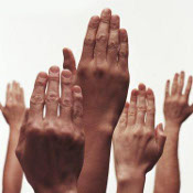 без названия без названия