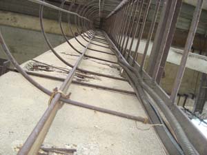 без названия без названия