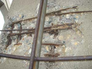 без названия без названия