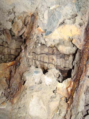 без названия без названия