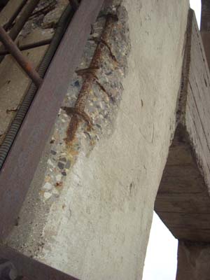 без названия без названия