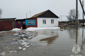 Подтопление домов и дворов: в ГУ МЧС рассказали о ситуации с паводком в регионе