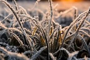 Дожди и заморозки: в Саратовской области похолодает